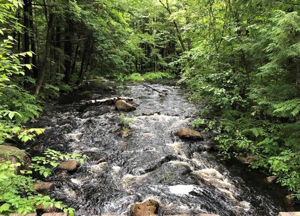 88 Chickville Road Ossipee, NH 03864 - Photo 4 of 12