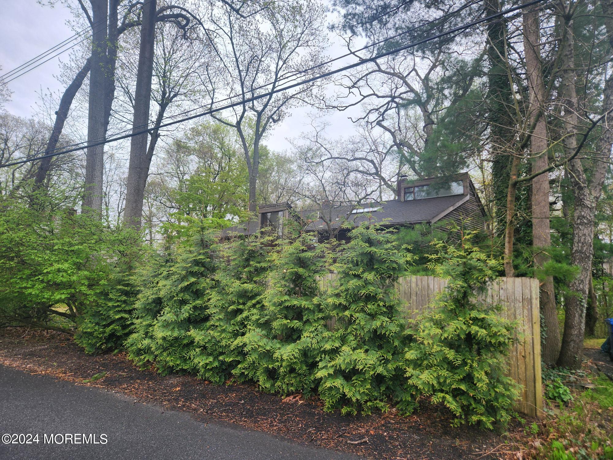 68 Chestnut Street Fair Haven, NJ 07704 - Photo 3 of 5 20240417_180154