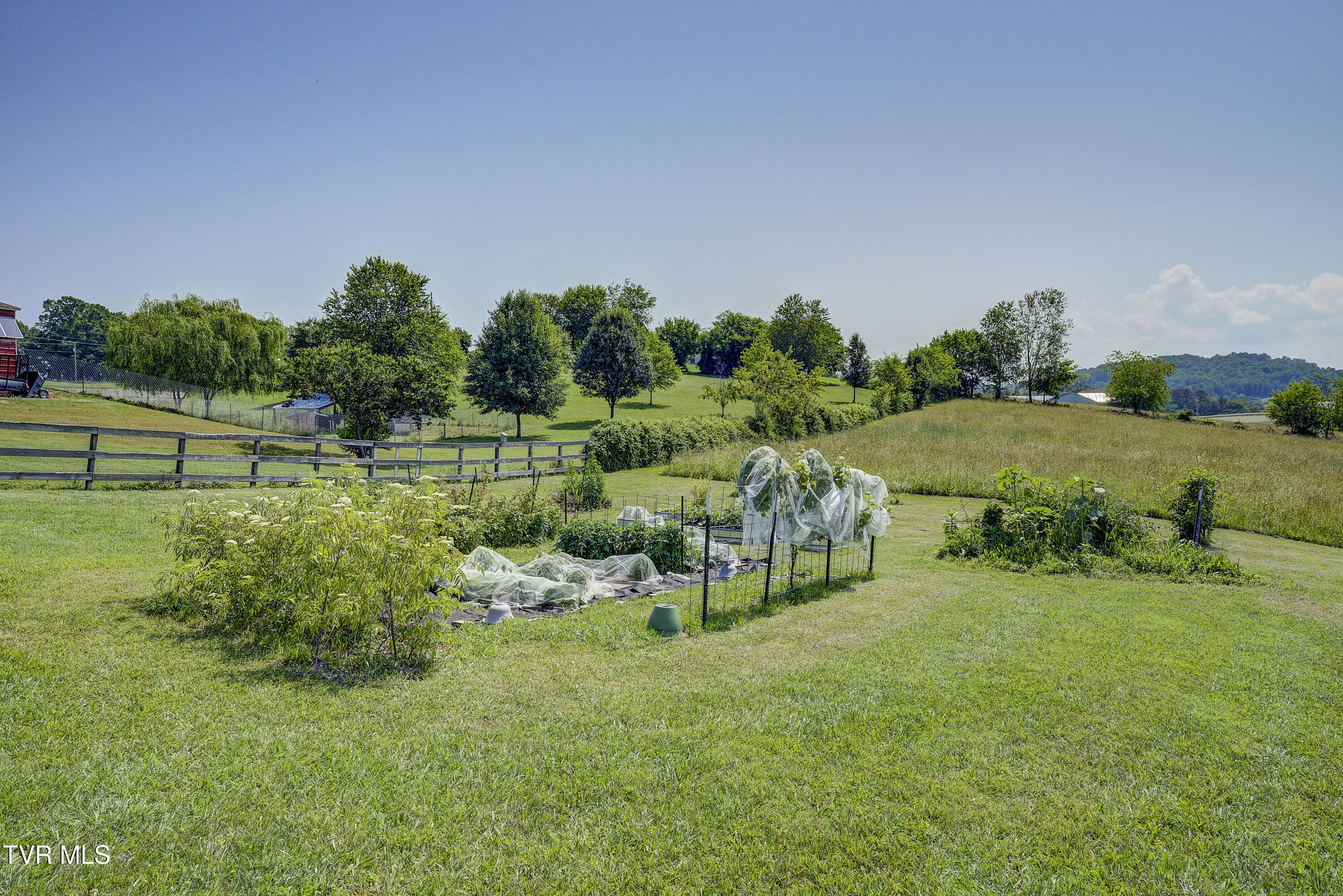 253 Stockton Road Chuckey, TN 37641 - Photo 45 of 64 Stockton-EXTERIOR-15