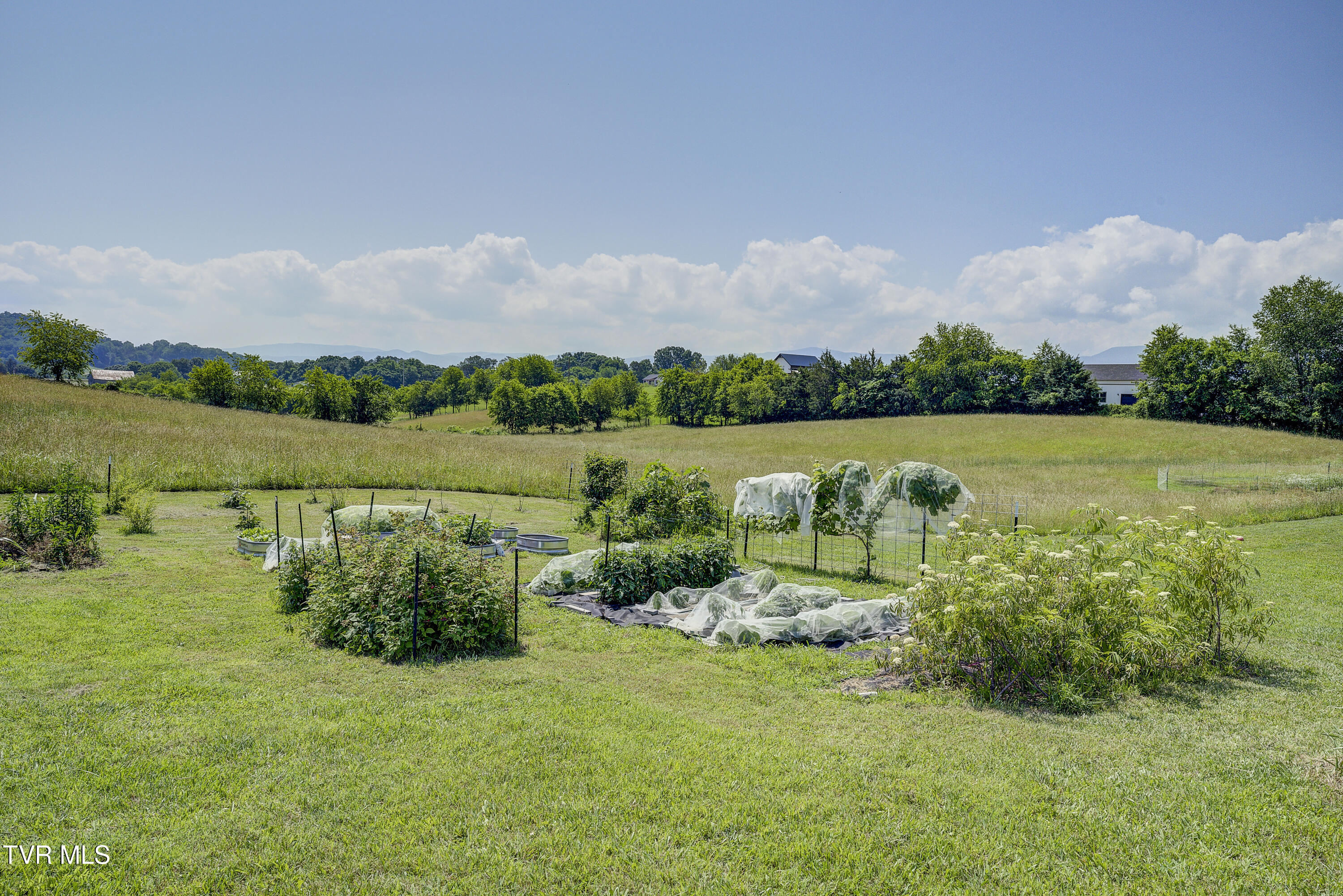 253 Stockton Road Chuckey, TN 37641 - Photo 46 of 64 Stockton-EXTERIOR-16