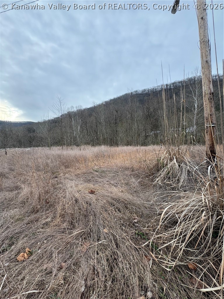 120 River Way Road East Bank, WV 25067 - Photo 12 of 17 Gallery Image 12