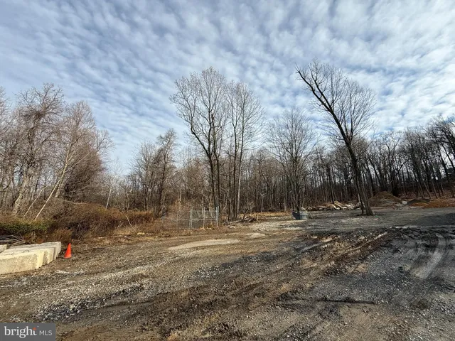 a view of dirt yard with trees