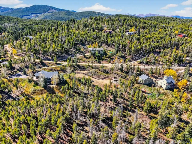 a view of a bunch of trees and houses
