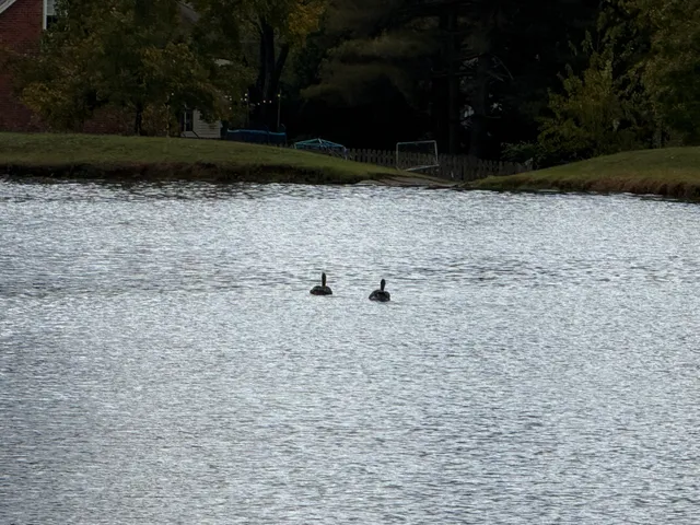 $774,900 | 521 Maplegrove Drive, Franklin, TN 37064