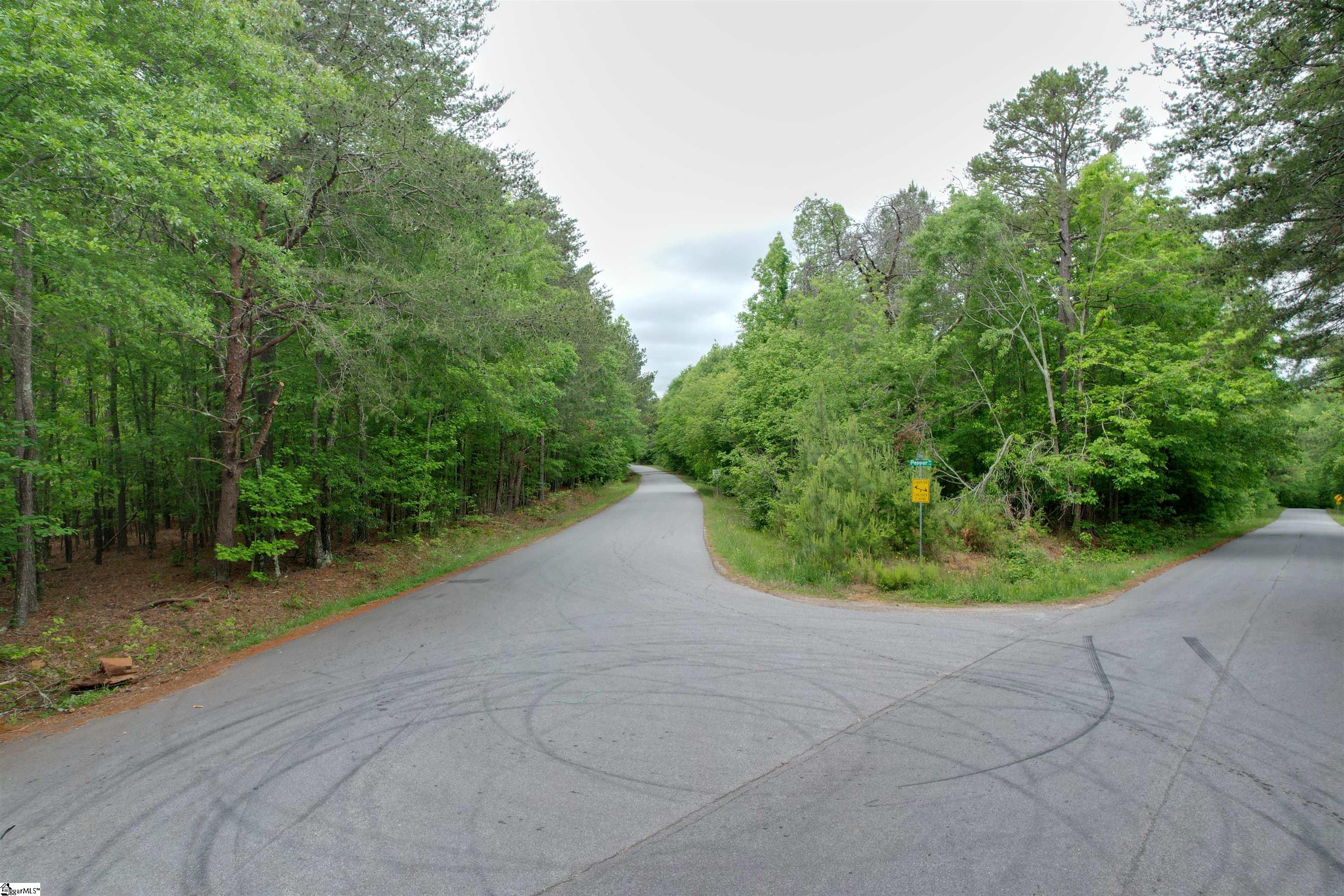 0 Pepper Road Piedmont, SC 29673 - Photo 12 of 12