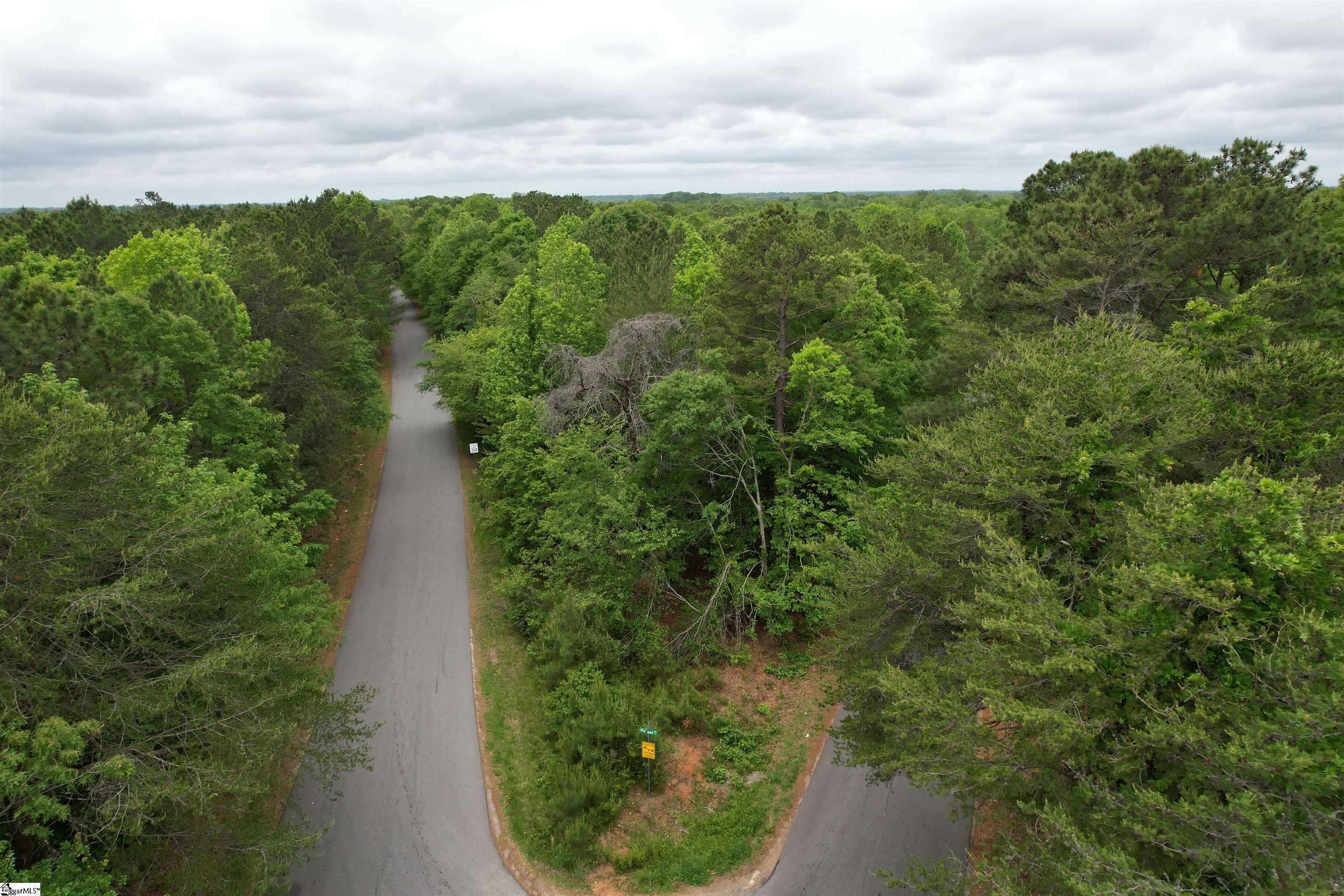 0 Pepper Road Piedmont, SC 29673 - Photo 4 of 12