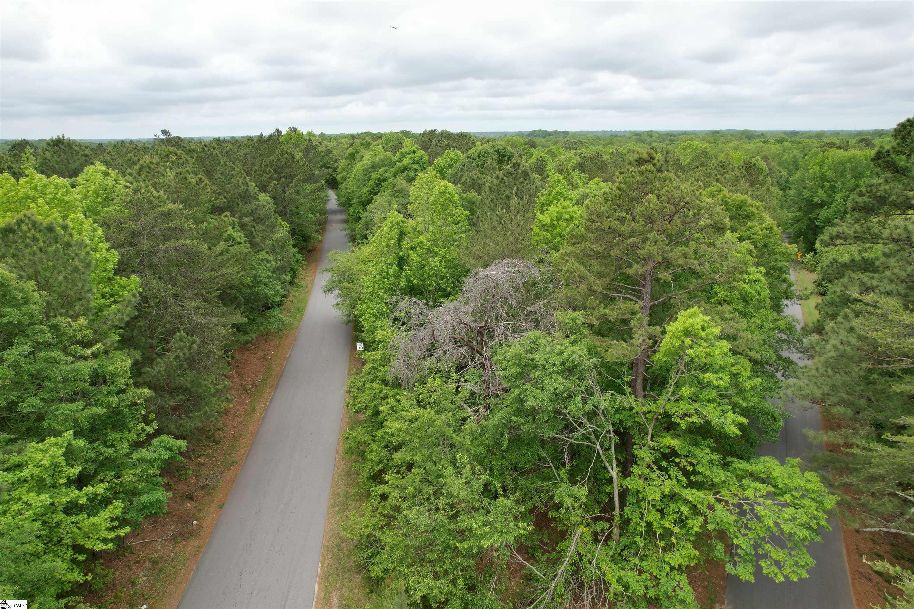 0 Pepper Road Piedmont, SC 29673 - Photo 5 of 12