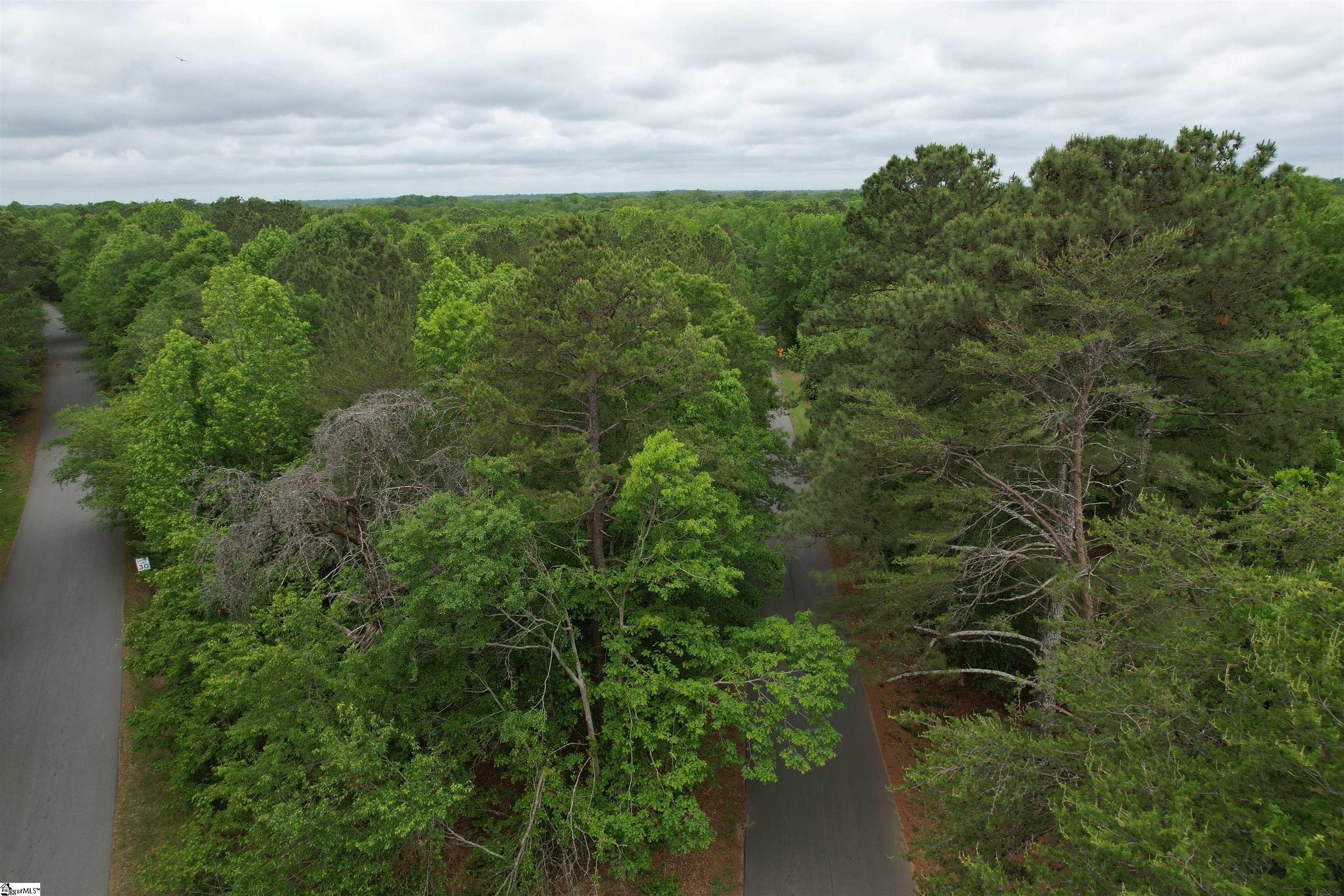 0 Pepper Road Piedmont, SC 29673 - Photo 6 of 12