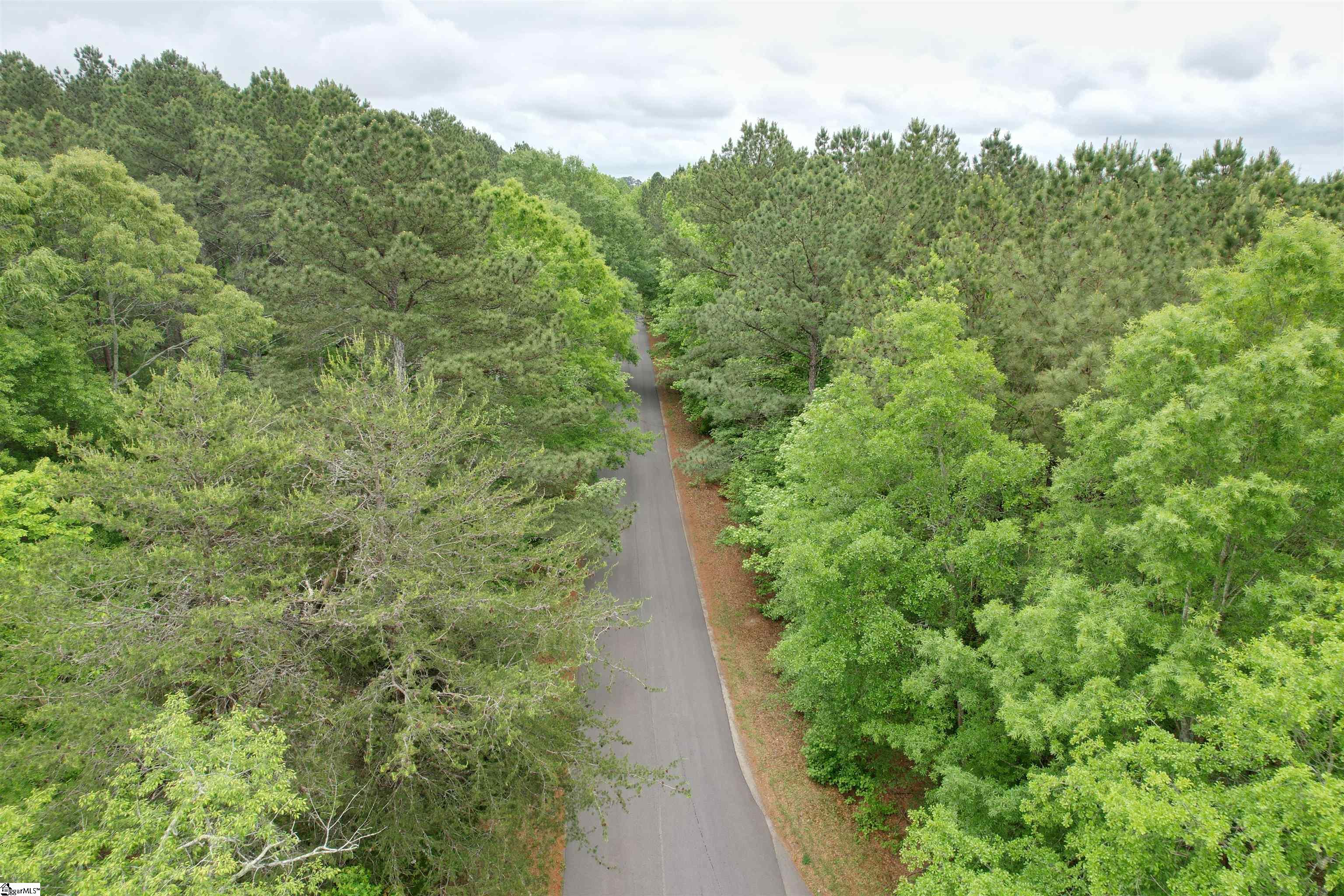 0 Pepper Road Piedmont, SC 29673 - Photo 7 of 12