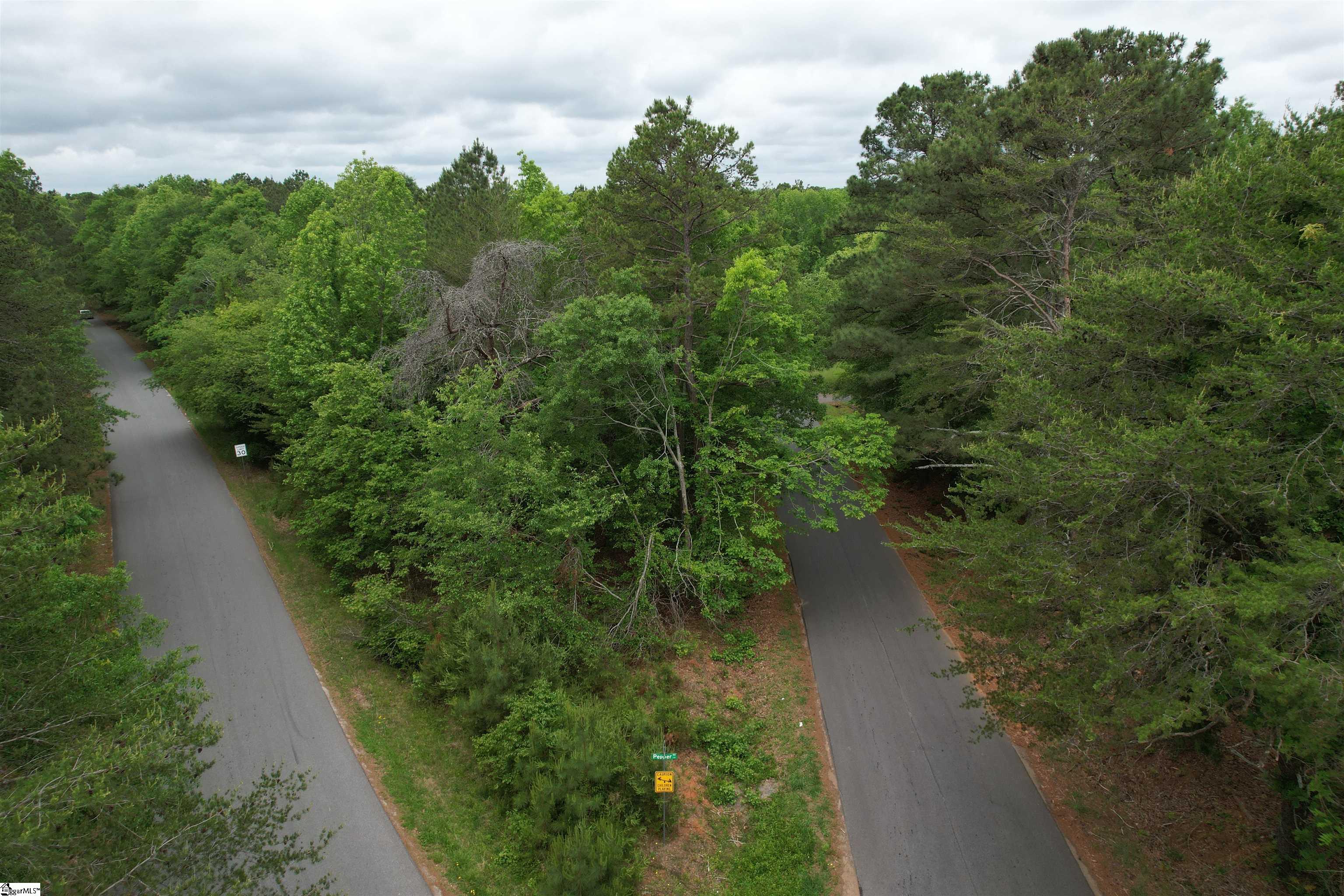 0 Pepper Road Piedmont, SC 29673 - Photo 8 of 12