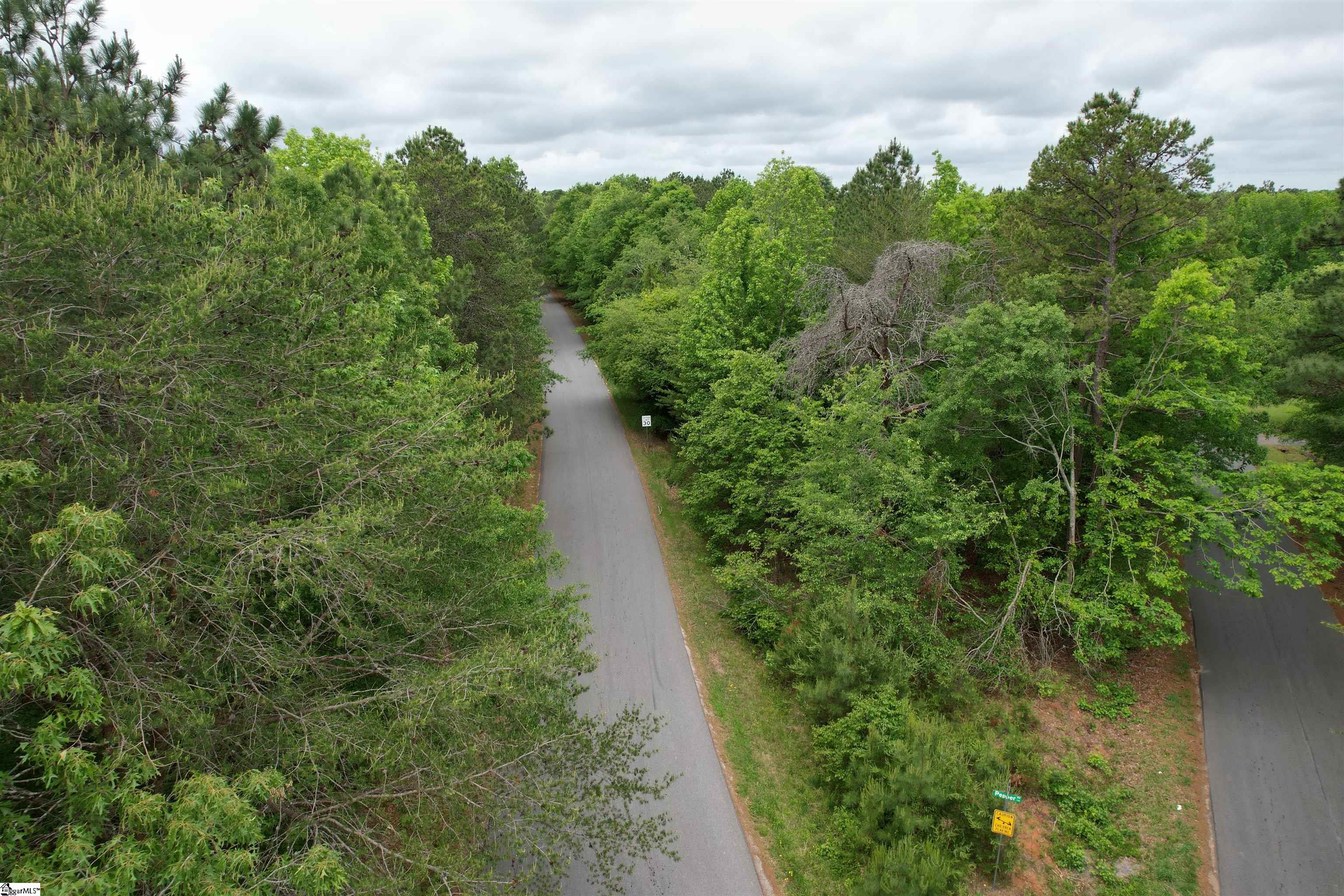 0 Pepper Road Piedmont, SC 29673 - Photo 10 of 12