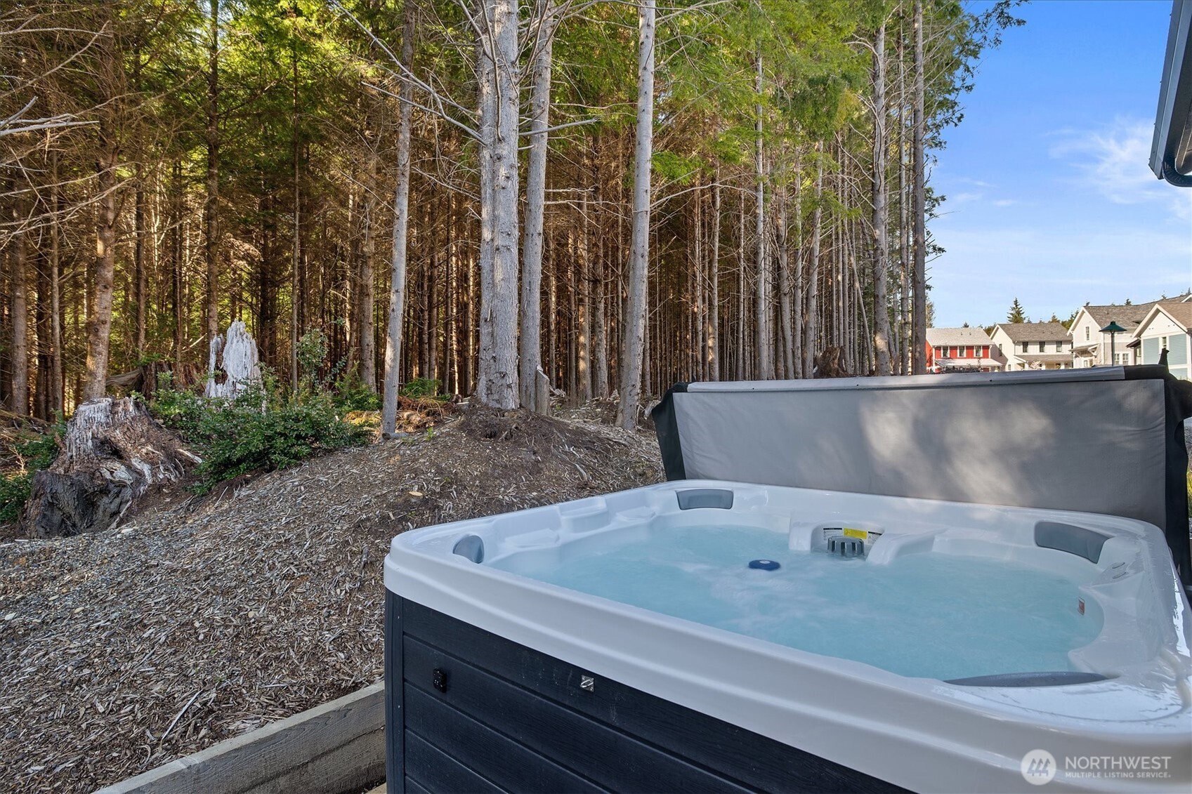 417 East Compass Street Pacific Beach, WA 98571 - Photo 20 of 40 a view of jacuzzi and tree