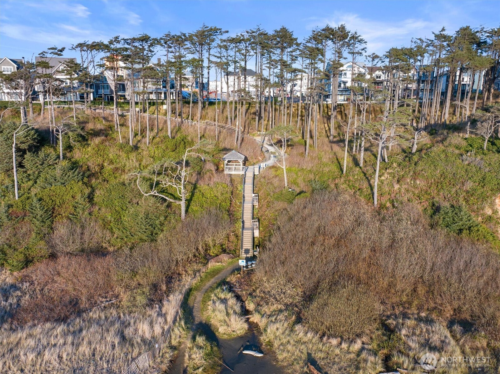 417 East Compass Street Pacific Beach, WA 98571 - Photo 38 of 40 a view of residential houses with trees