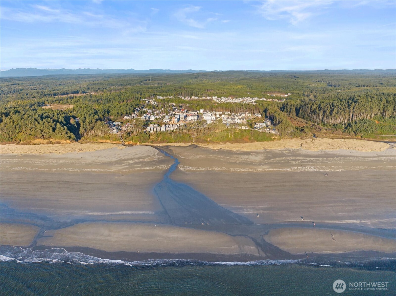 417 East Compass Street Pacific Beach, WA 98571 - Photo 40 of 40 a view of city and ocean