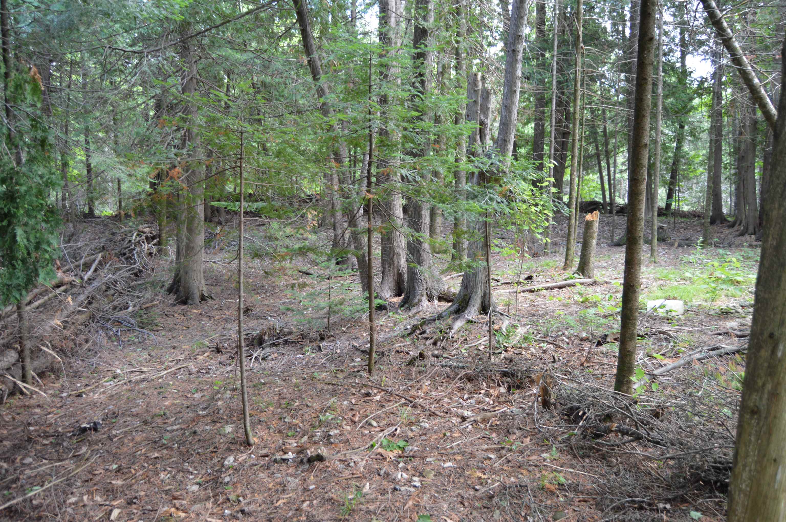 5010 Wessel Road Alpena, MI 49707 - Photo 33 of 35 1947602-6a94558c-f439-4b4e-b29b-13101e868edd.JPG