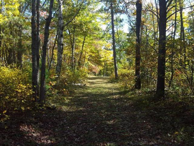 On Wilsch Road, Unit LOT 2 Conover, WI 54519 - Photo 7 of 15 Gallery Image 7