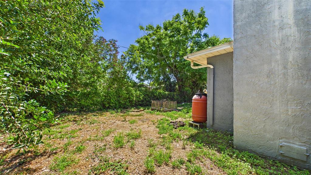 8840 Carmen Lane Port Richey, FL 34668 - Photo 42 of 49 a backyard of a house with lots of green space