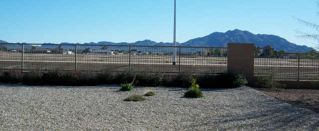 4309 East Ficus Way Gilbert, AZ 85298 - Photo 2 of 6 a view of a back yard with a fountain