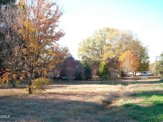 a view of yard with trees