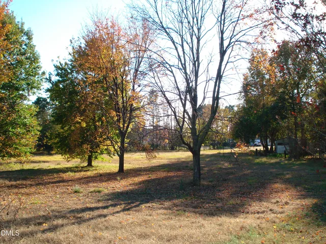 a view of a yard with plants and trees