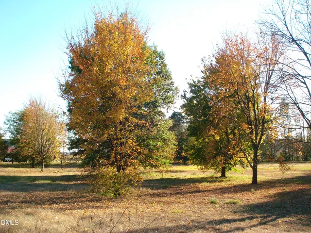 a view of a swimming pool with a yard