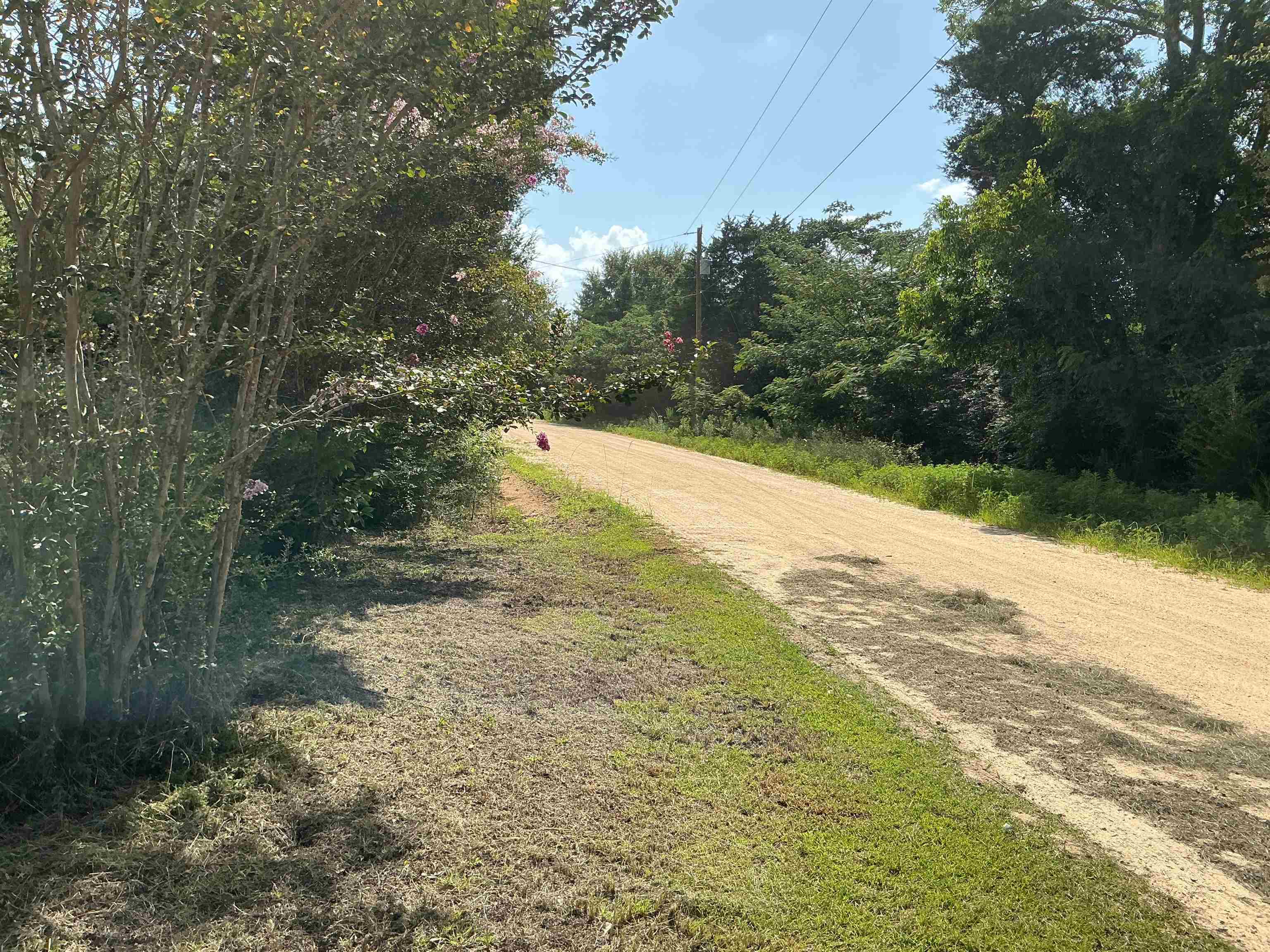 23182 Driver Road Dozier, AL 36028 - Photo 21 of 22 Gallery Image 21
