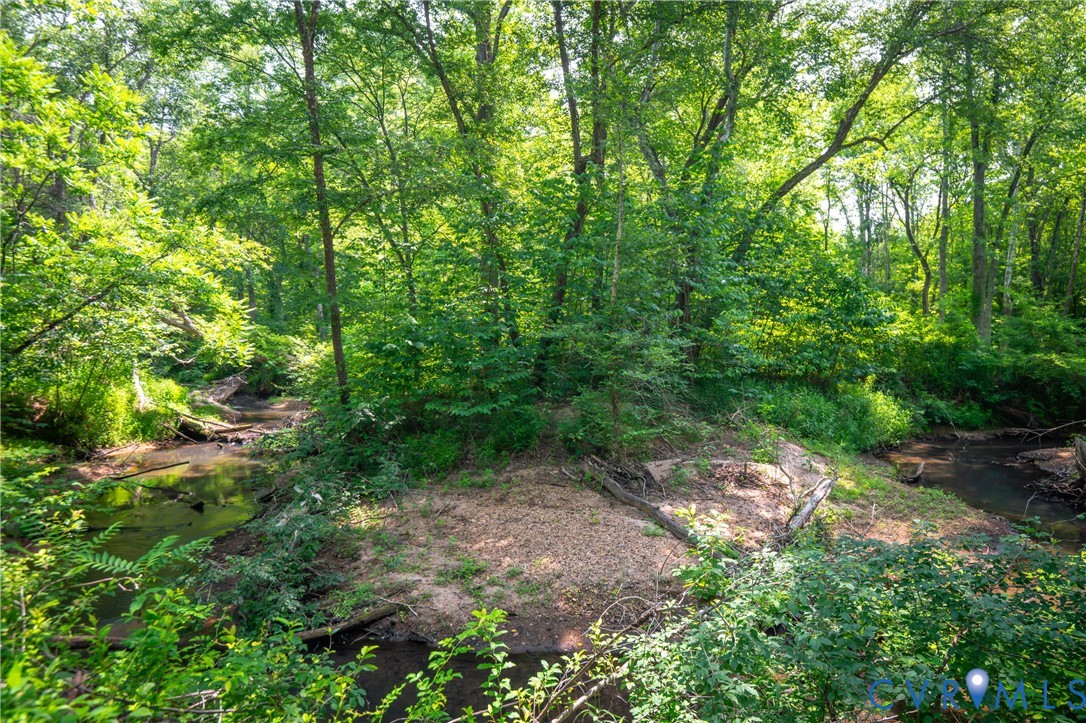 0 Chellowe Road Dillwyn, VA 23936 - Photo 26 of 52 a view of a forest with trees