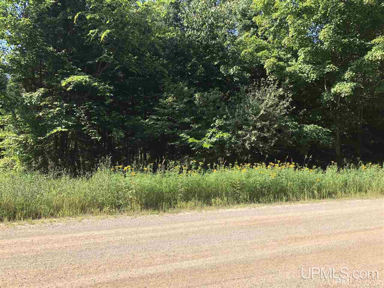 Tbd Tbd Vogel Road Rapid River, MI 49878 - Photo 2 of 6