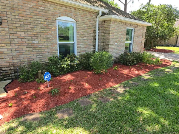 a view of a backyard with plants and garden