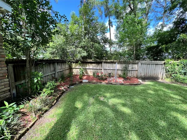 a view of a backyard with small plants and large tree