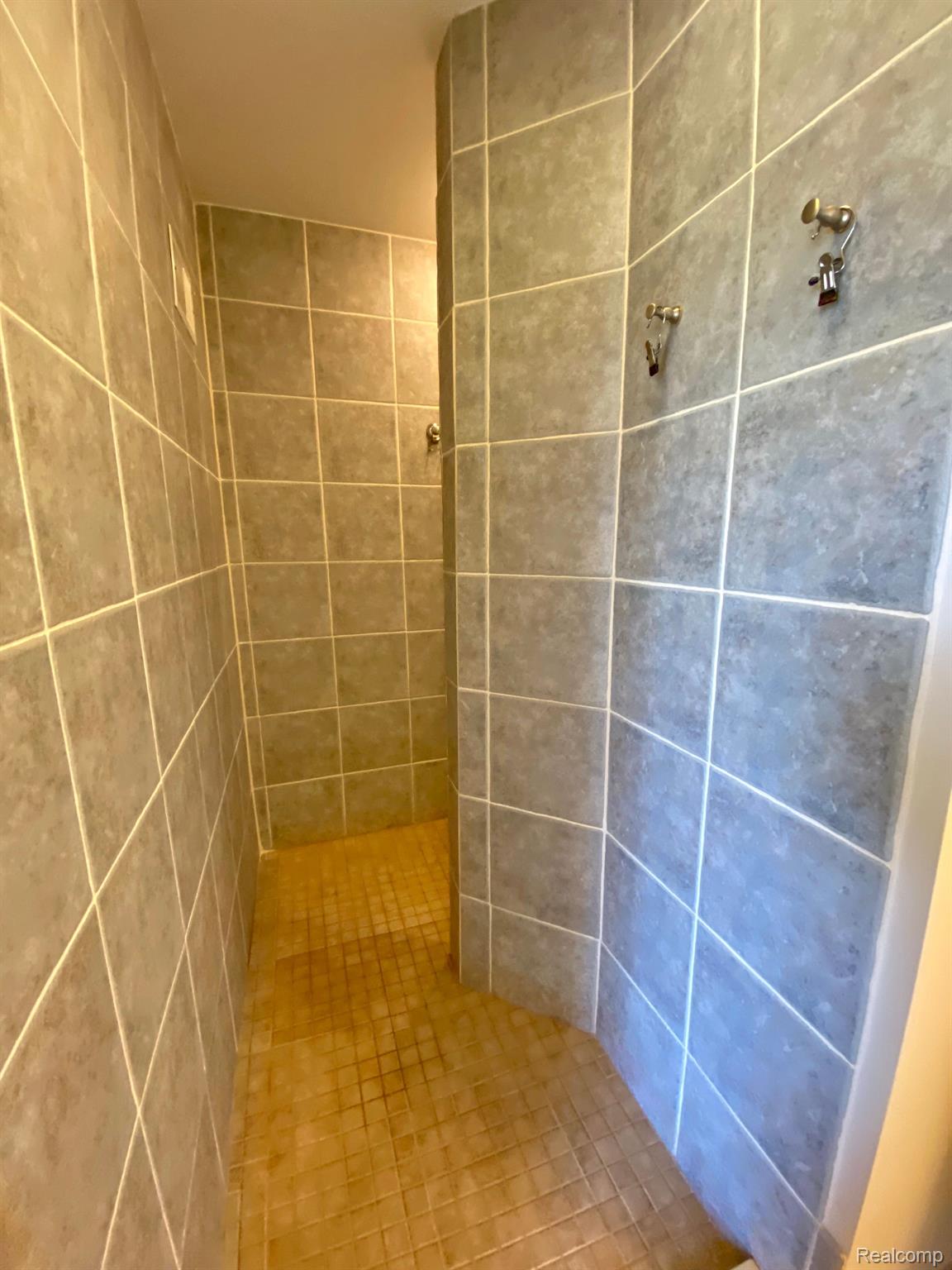 4435 Lily Drive Howell, MI 48843 - Photo 20 of 58 Large walk-in shower in Master Bath