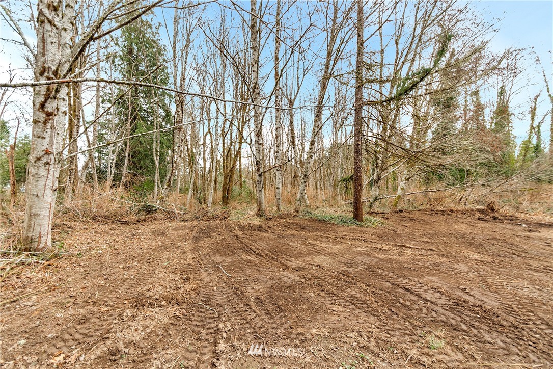 2038 Spring Road Shelton, WA 98584 - Photo 25 of 25 Gallery Image 25