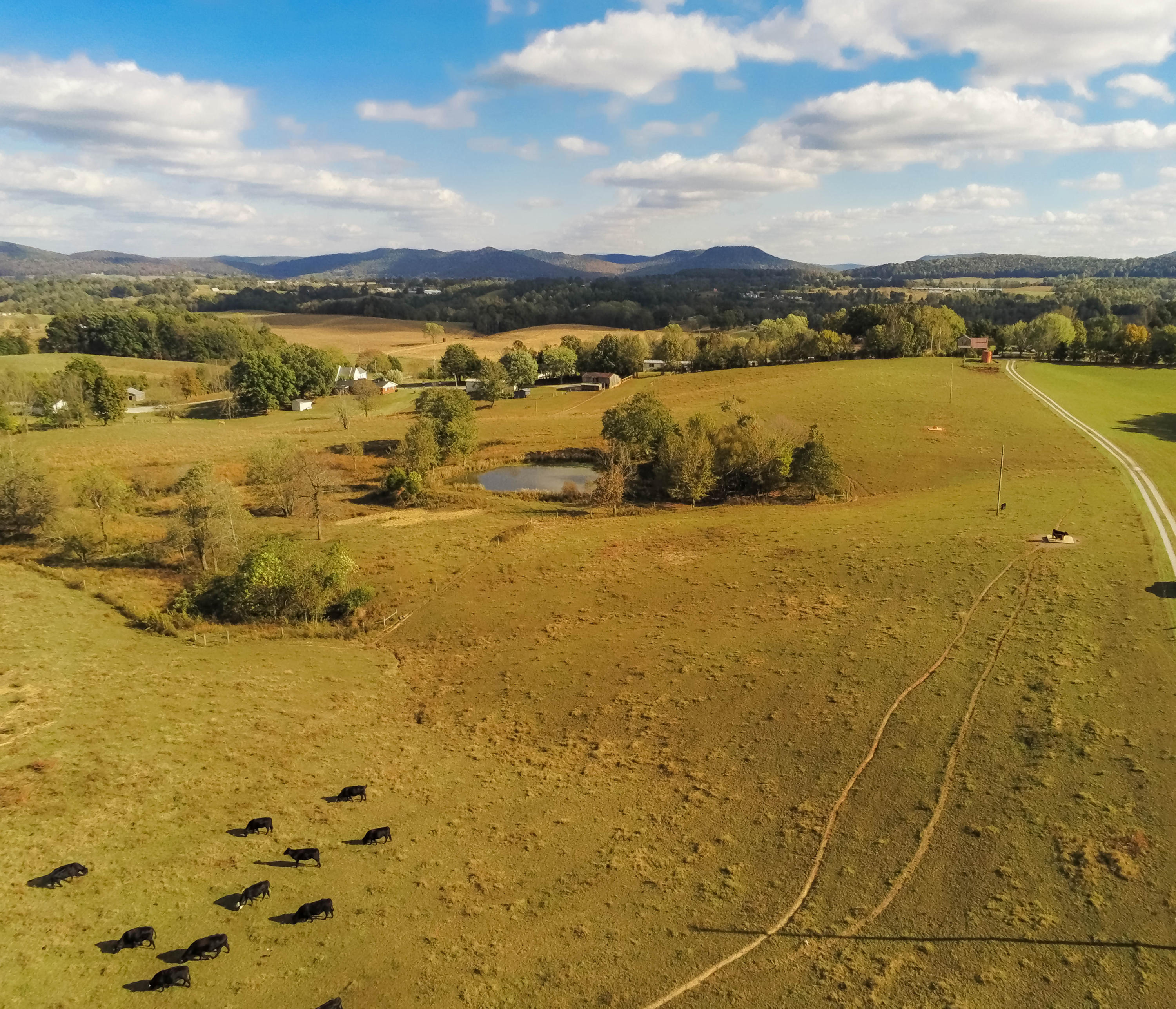 350 Perdue Road Alpha, KY 42603 - Photo 27 of 27 1009-2330404