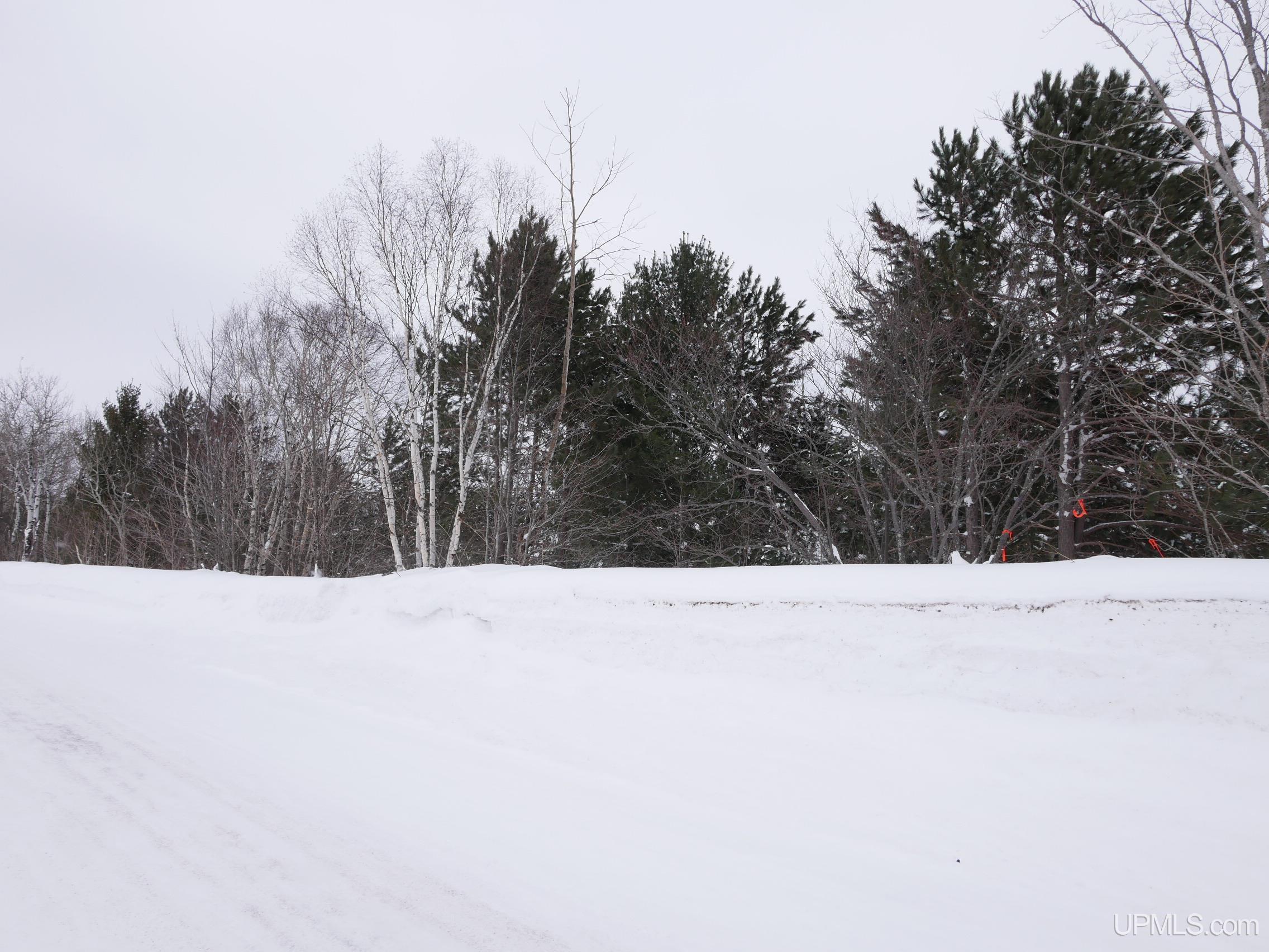Parcel D Puuri Road Atlantic Mine, MI 49905 - Photo 11 of 13 Gallery Image 11