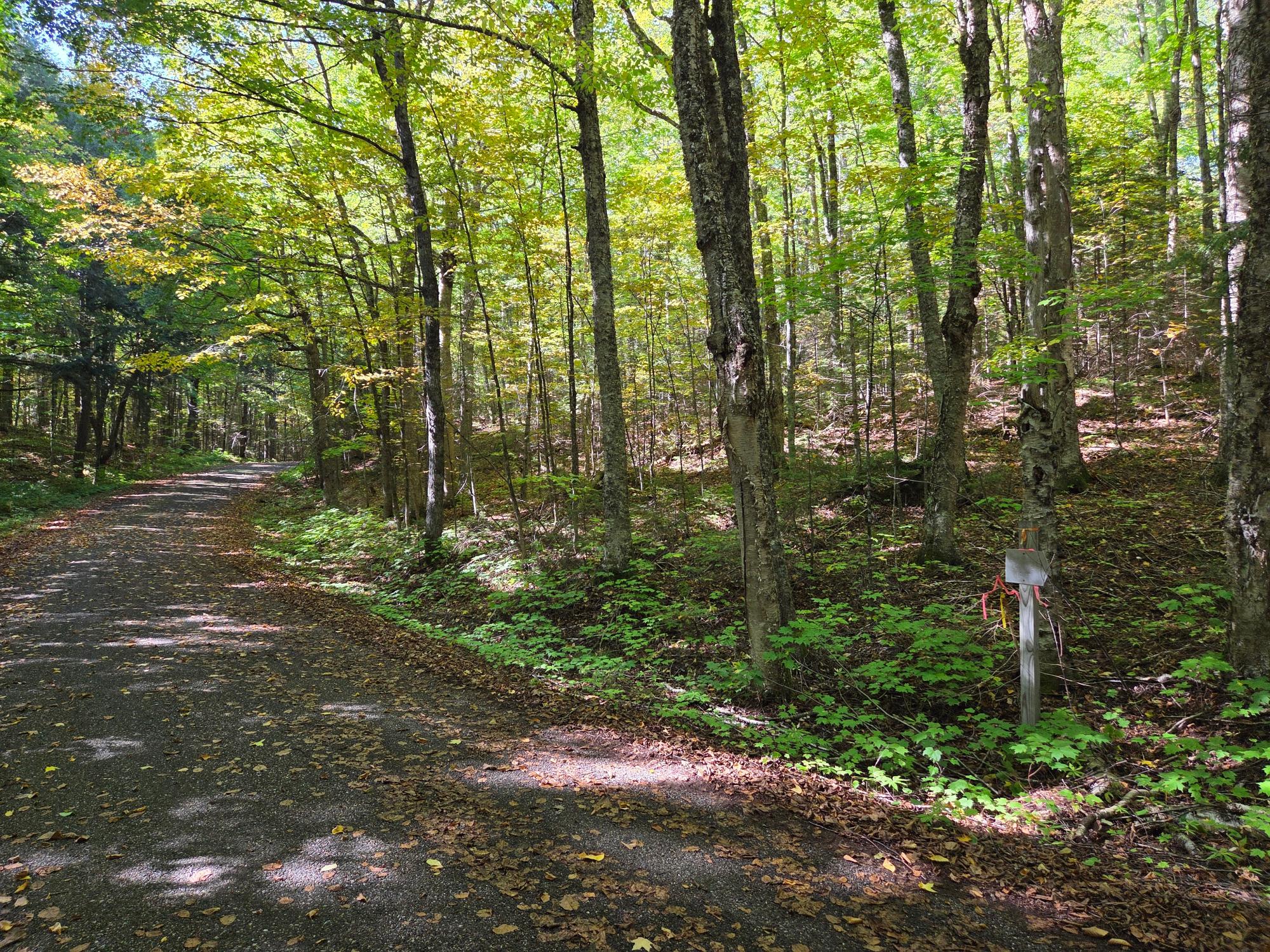 On Moonshine Valley Road, Unit 2AC Presque Isle, WI 54557 - Photo 2 of 7 Gallery Image 2