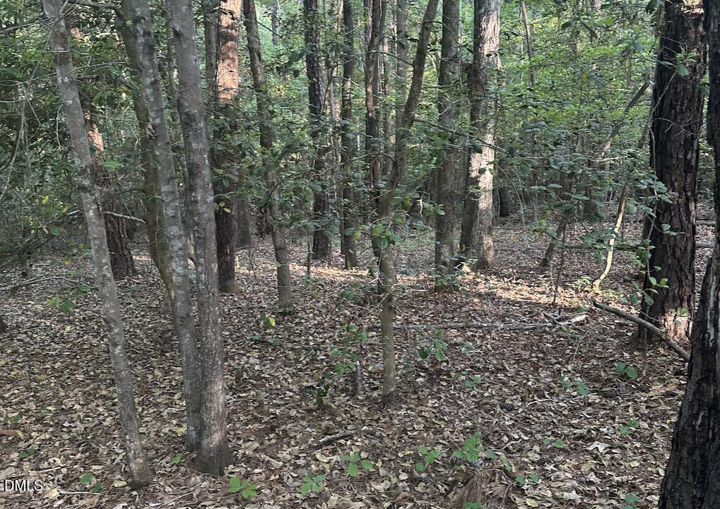 0 L L Cooper Road Cameron, NC 28326 - Photo 12 of 17 a view of a forest with trees