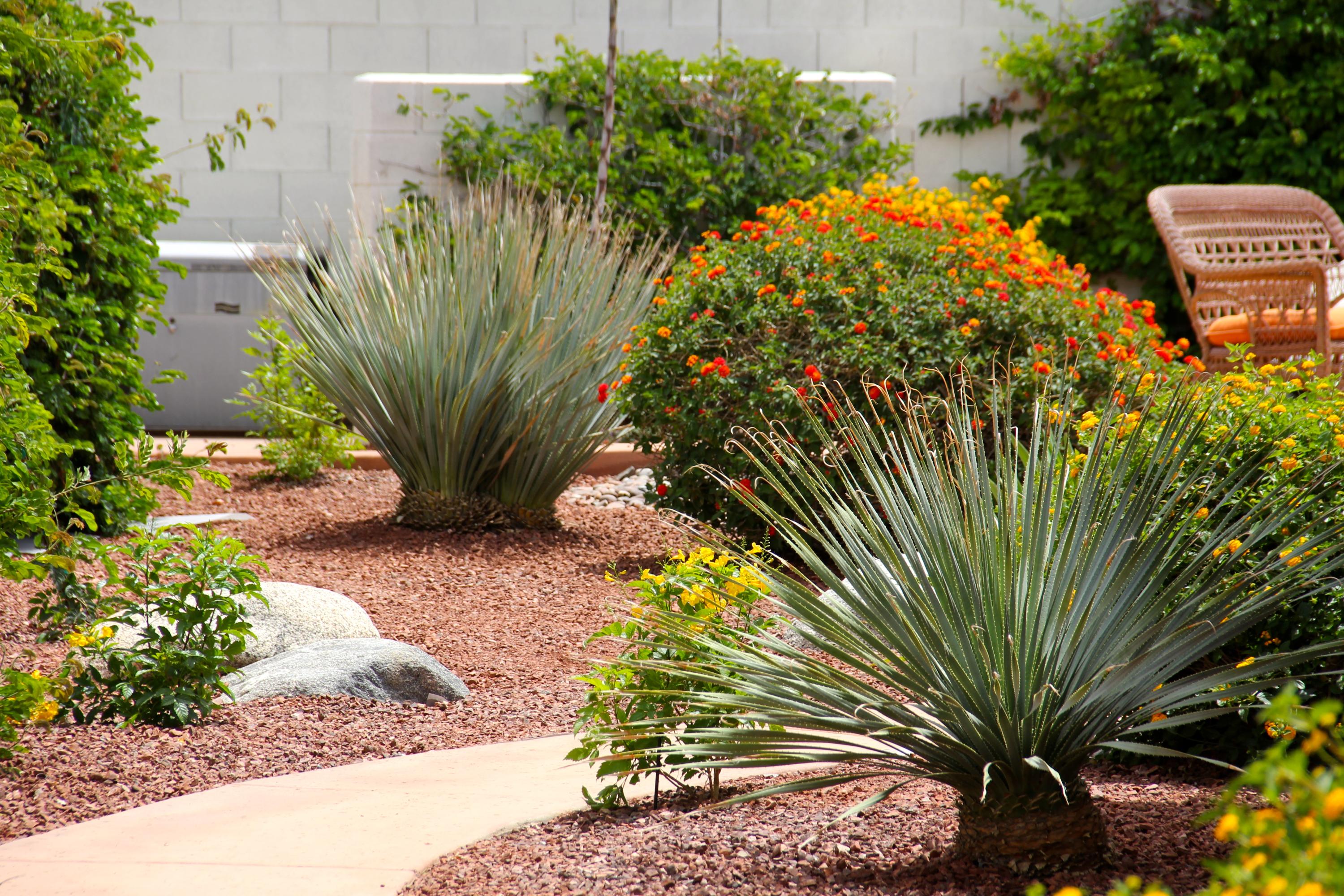 8 Marseilles Road Rancho Mirage, CA 92270 - Photo 30 of 36 IMG_0494
