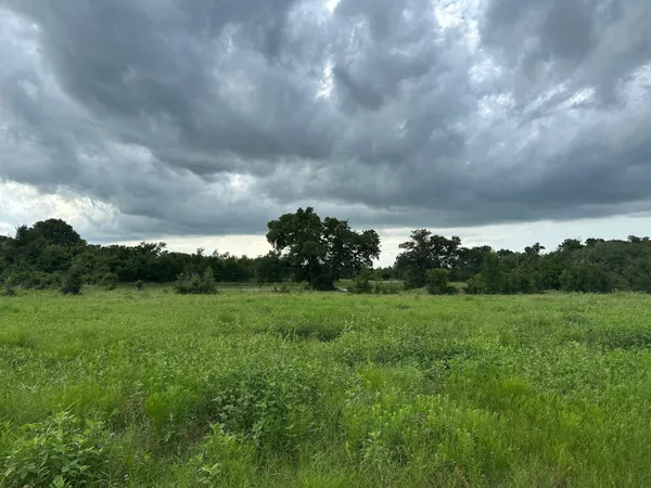 a view of a field of grass and trees