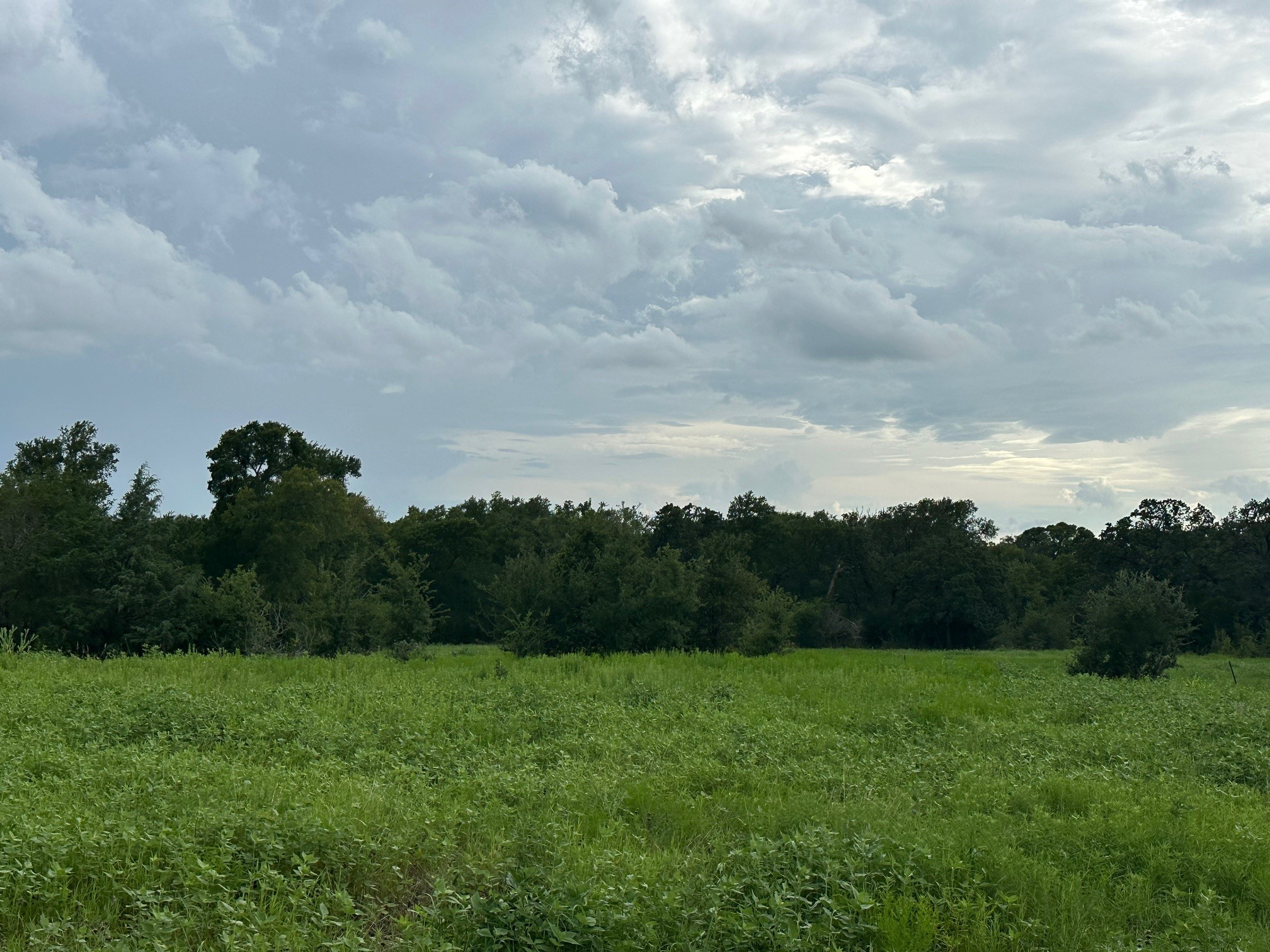 8616 Schuster Road Ledbetter, TX 78946 - Photo 3 of 10 a view of outdoor space and mountain view