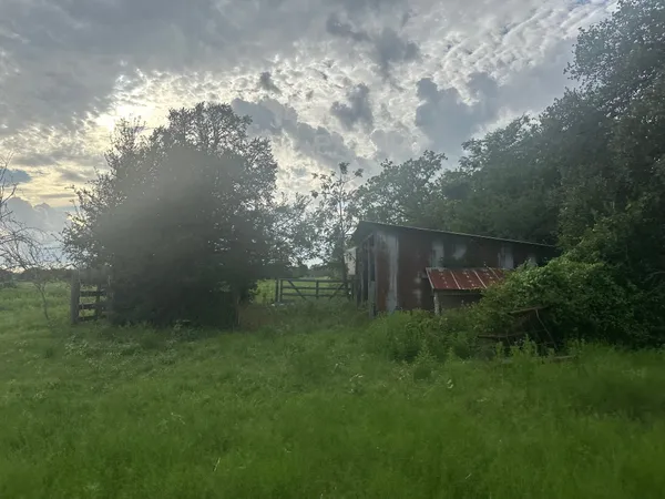 a backyard of a house with lots of green space and garden