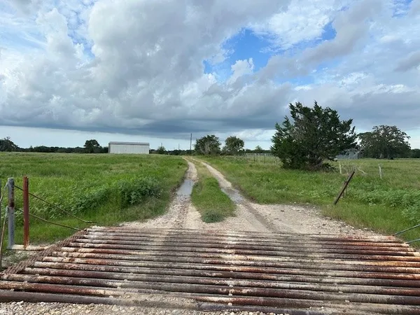 a view of a garden with a tree in the middle