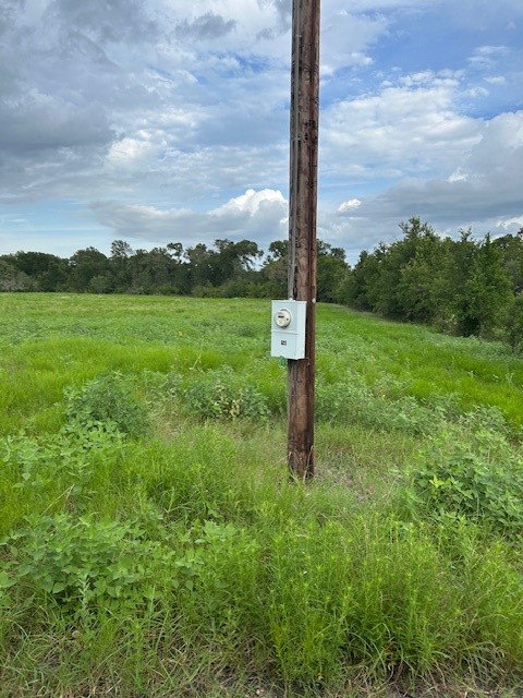 8616 Schuster Road Ledbetter, TX 78946 - Photo 9 of 10 a view of a garden with a tree in the middle