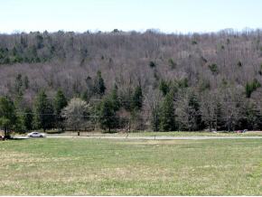 682 Tiona Road Maine, NY 13811 - Photo 4 of 6 Gallery Image 4
