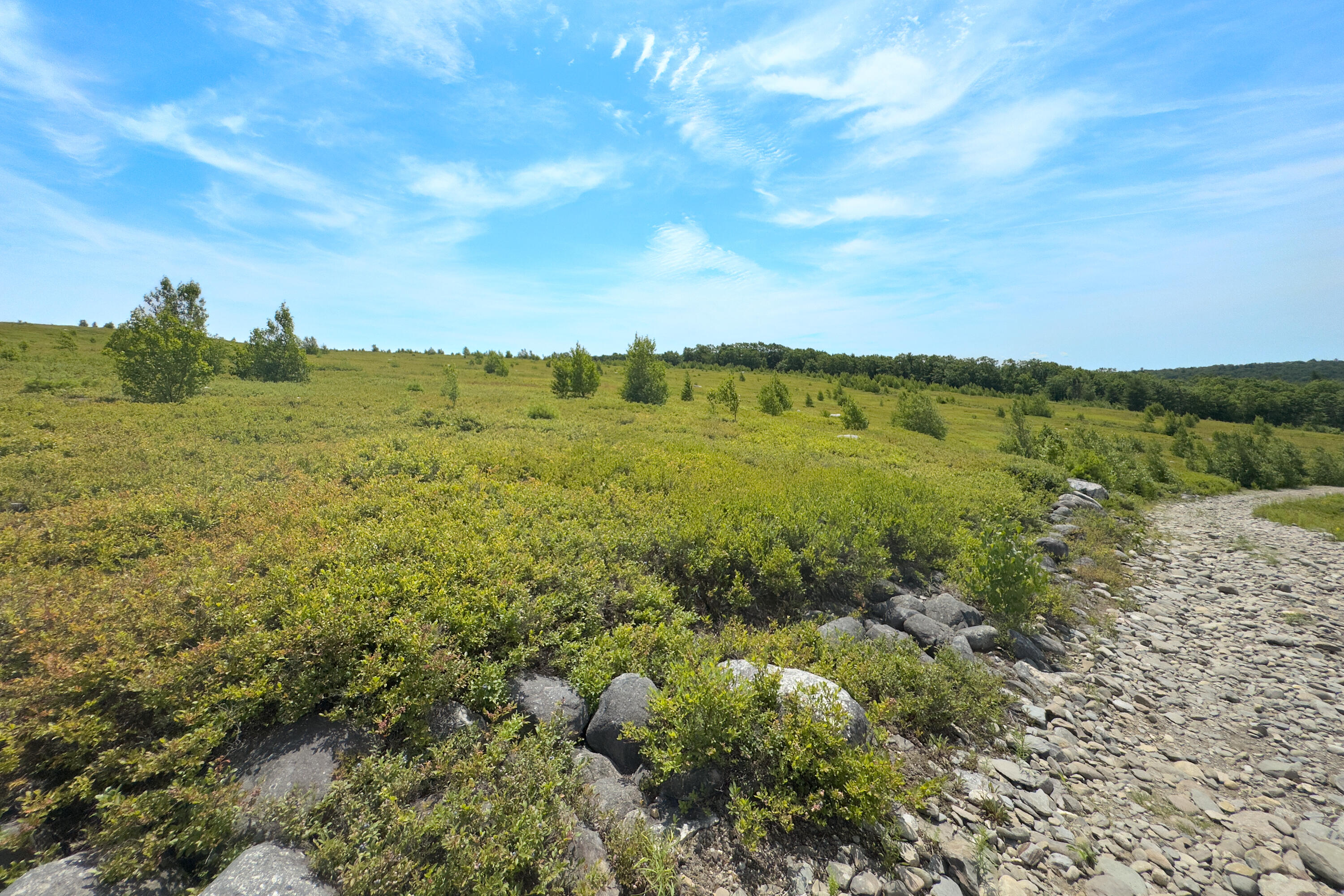 0 Armstrong Road Belfast, ME 04915 - Photo 40 of 43 View along the access roadgg