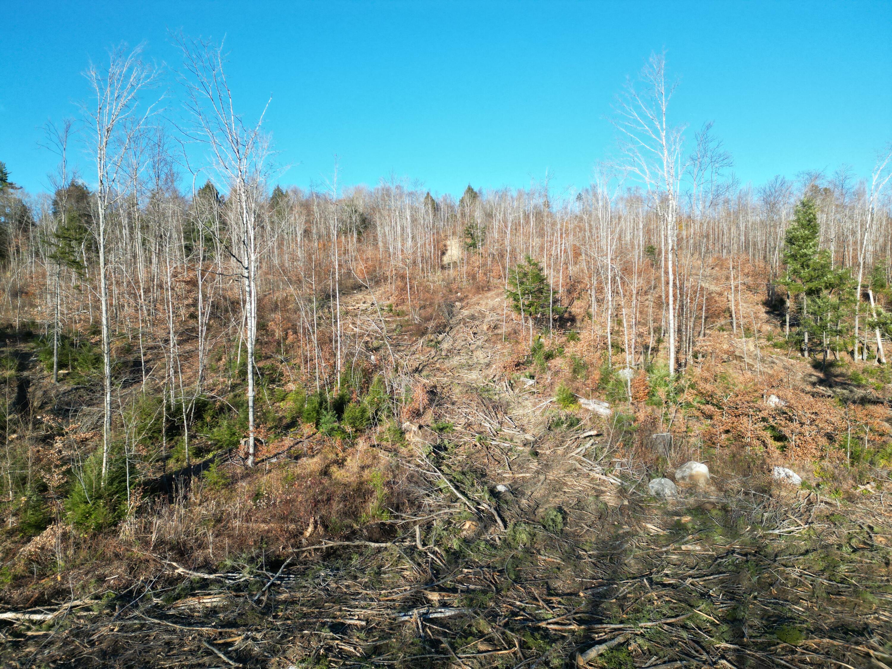 Lot 11 Ghost Road Springfield, ME 04487 - Photo 3 of 10 DJI_0929