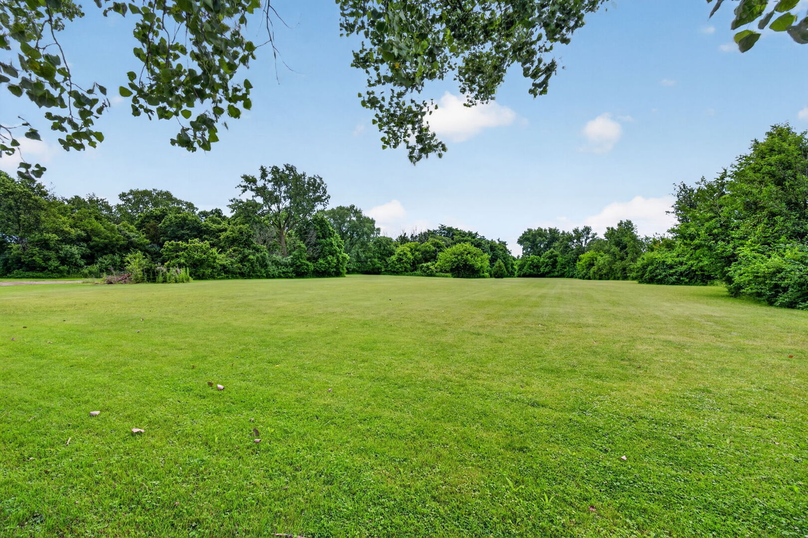 14047 West Maple Road Mokena, IL 60448 - Photo 82 of 87