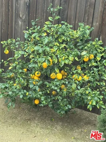 $8,000 | 6128 Maryland Drive, Los Angeles, CA 90048