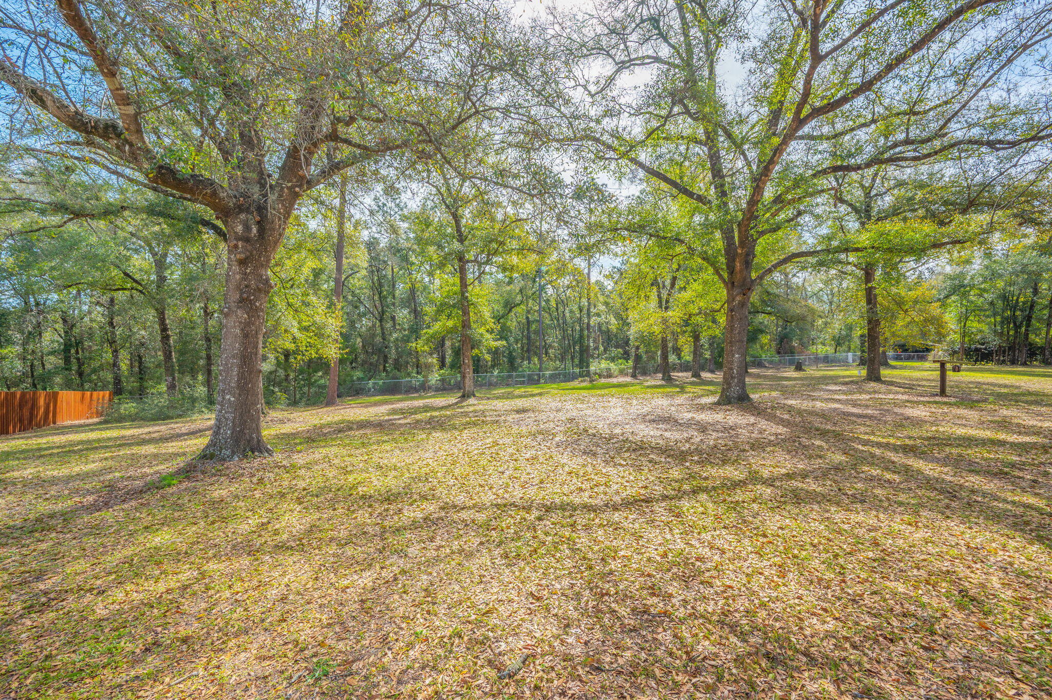 4841 Antioch Road Crestview, FL 32536 - Photo 6 of 70 a view of outdoor space with trees