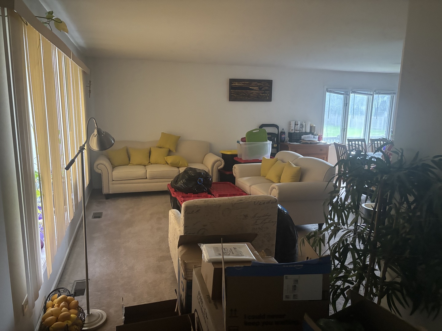 16537 Spangler Road Plainfield, IL 60586 - Photo 6 of 24