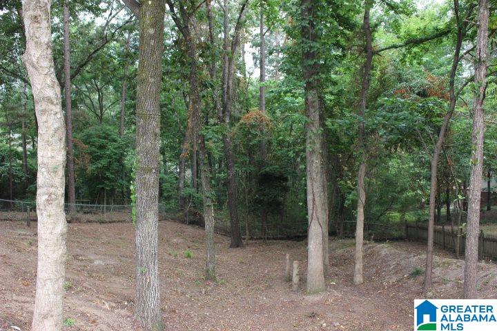 1121 Sequoia Trail Alabaster, AL 35007 - Photo 29 of 29